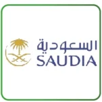 saya-19.webp